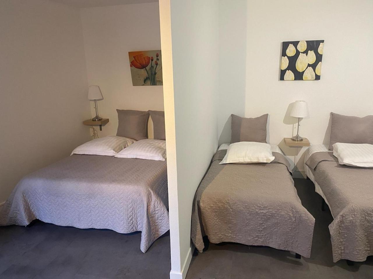 Appart'Hotel Les Palatines Saint-Etienne  Ngoại thất bức ảnh